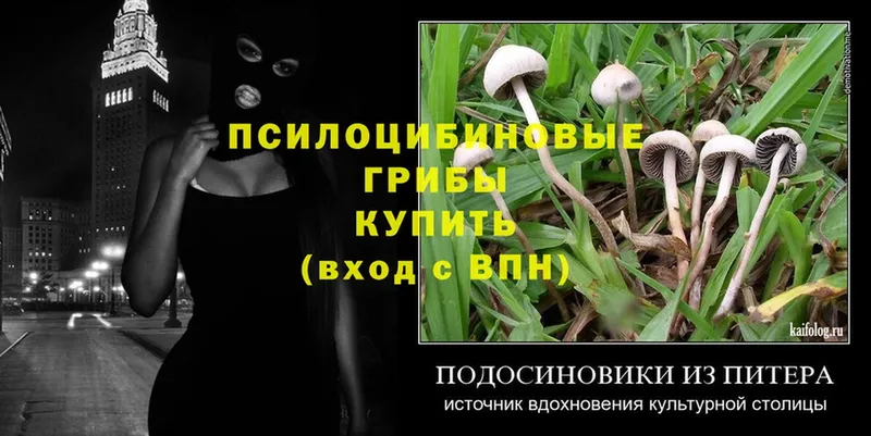 Галлюциногенные грибы Magic Shrooms  купить наркотик  Дно 